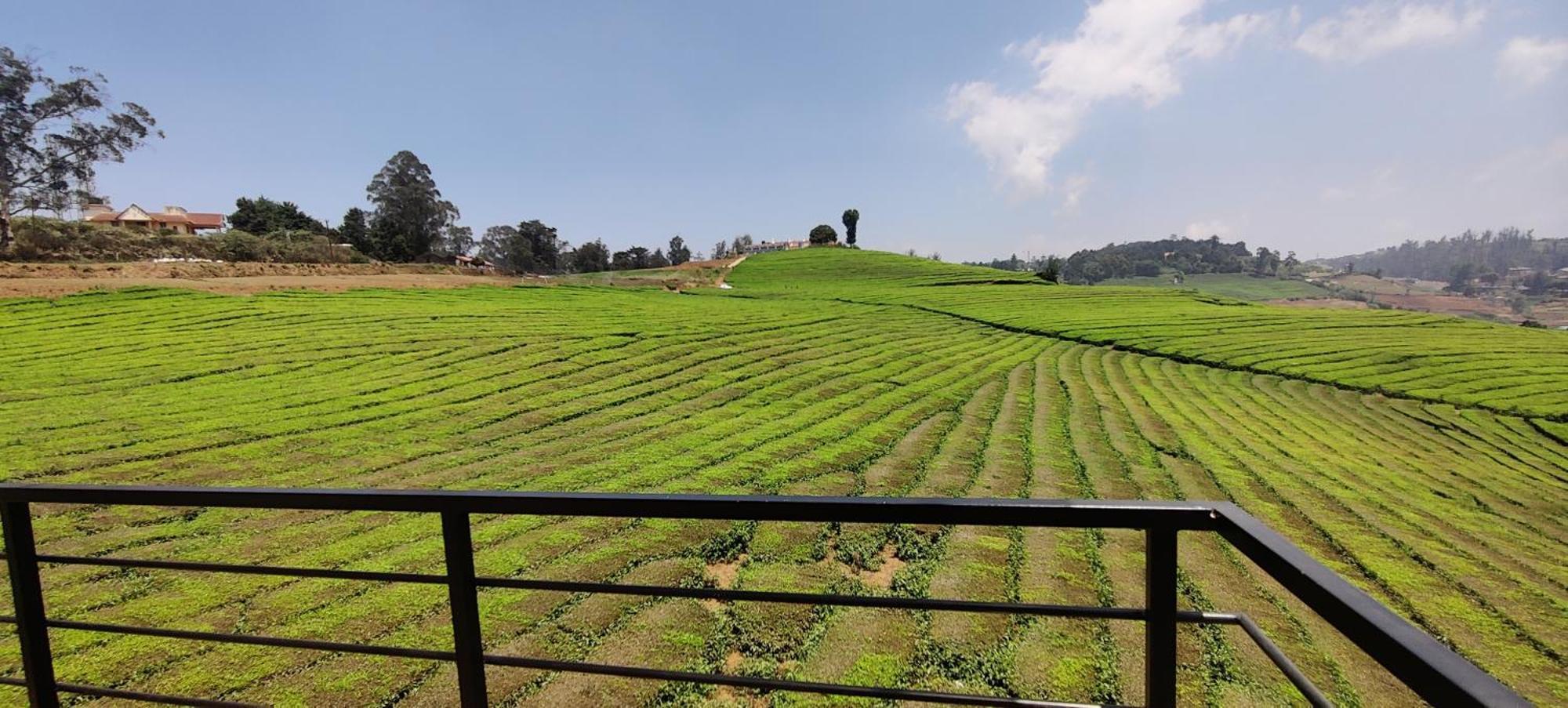 مبيت وإفطار أوتي Rose Garden Enclave For Families & Executives المظهر الخارجي الصورة